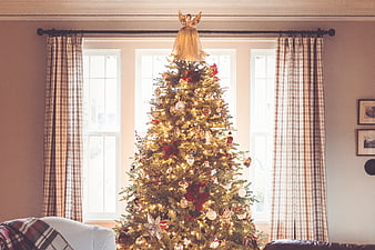 Decorated Christmas Tree in Cozy Living Room with Plaid Curtains