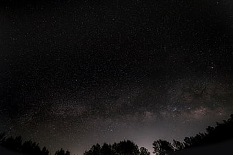 Milky Way Galaxy Over Silhouetted Forest at Night