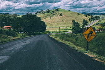 Winding rural road with yellow curve sign and green hills