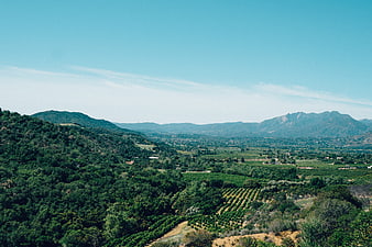 Scenic Vineyard Landscape with Rolling Hills and Blue Sky
