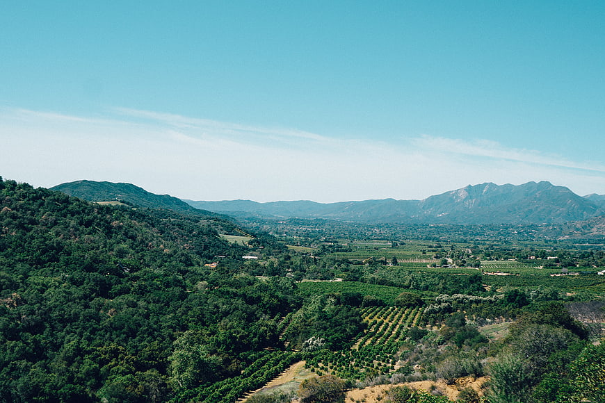 Scenic Vineyard Landscape with Rolling Hills and Blue Sky