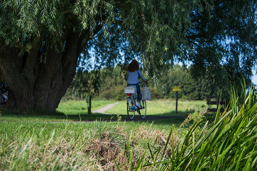 Woman Cycling on Path Under Willow Tree in Park