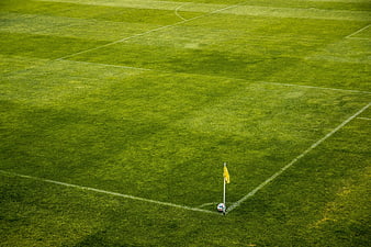 High Angle View of Soccer Ball and Corner Flag on Green Pitch