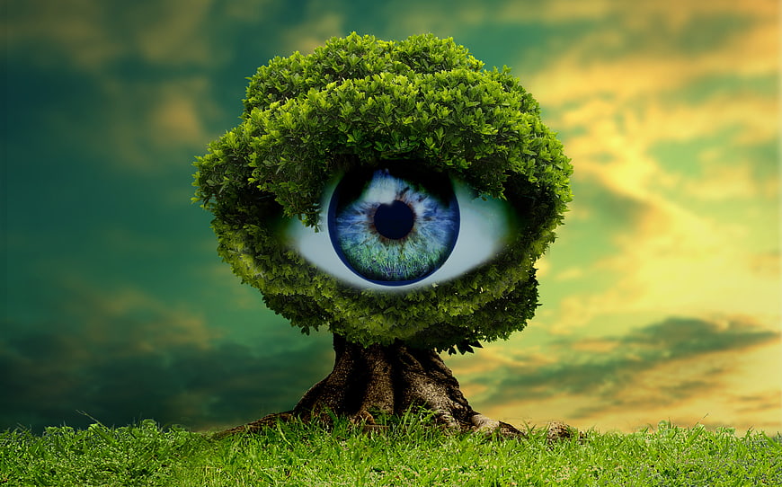 Surreal Tree with Eye in Canopy Against Dramatic Sky