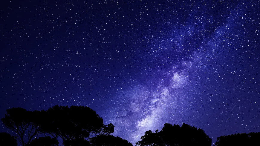 Milky Way Galaxy Over Silhouetted Pine Trees at Night