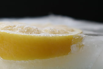 Close-up of frozen lemon slice in ice block