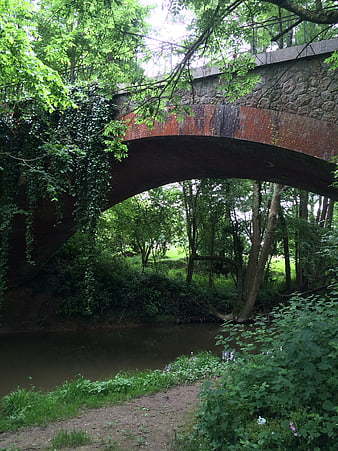 Old brick arch bridge over river in lush green forest