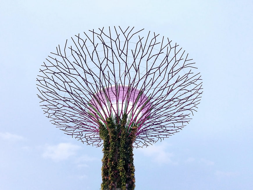 Supertree Grove at Gardens by the Bay Singapore