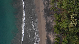 Aerial View of Turquoise Coastline Meeting Forest