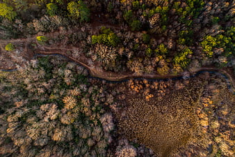 Aerial View of Winding River Through Autumn Forest