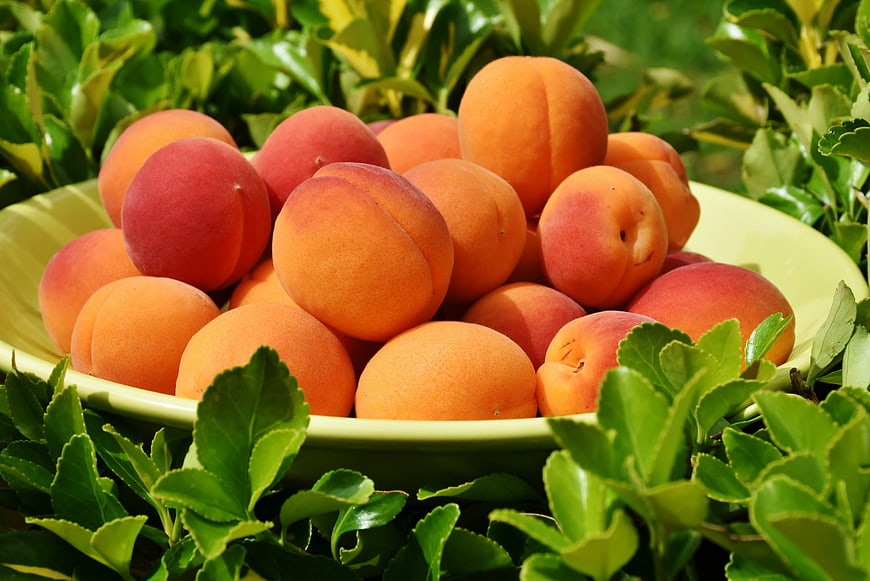 Fresh ripe peaches in a green bowl surrounded by leaves