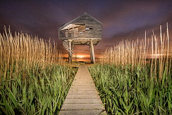 Wooden bird hide in reeds at night with starry sky