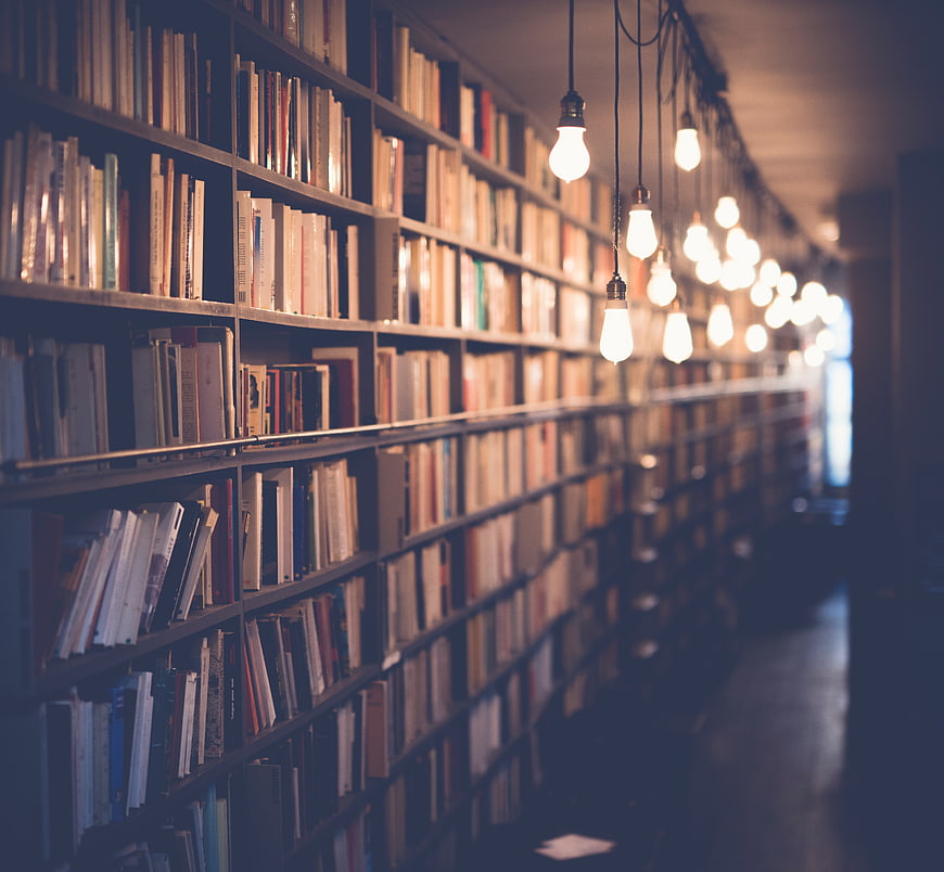 Cozy library aisle with hanging light bulbs and bookshelves