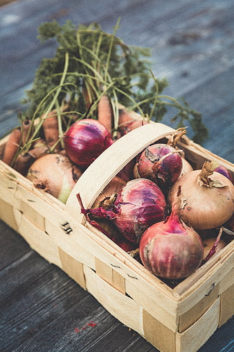 Fresh Harvested Onions and Carrots in Wooden Basket