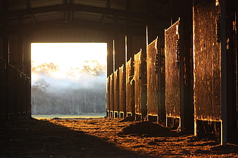 Sunlit Barn Interior With Misty Morning Landscape View