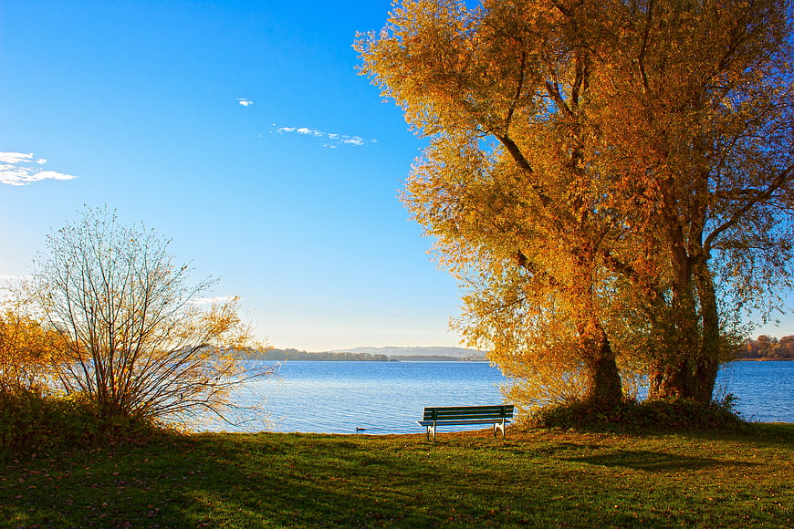 Serene Autumn Lake Landscape With Park Bench And Golden Trees