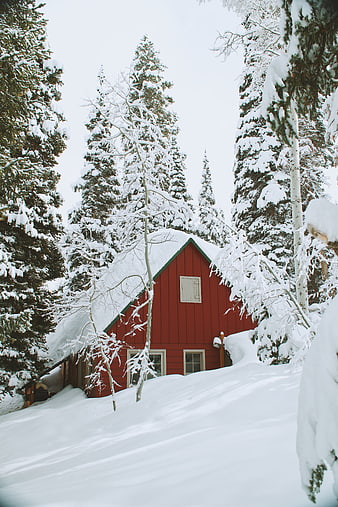 Red Cabin in Snowy Winter Forest Landscape