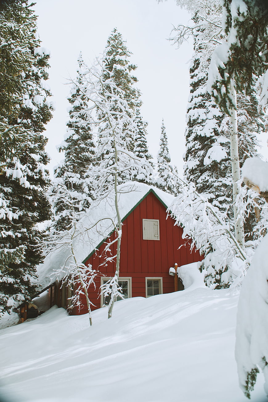Red Cabin in Snowy Winter Forest Landscape