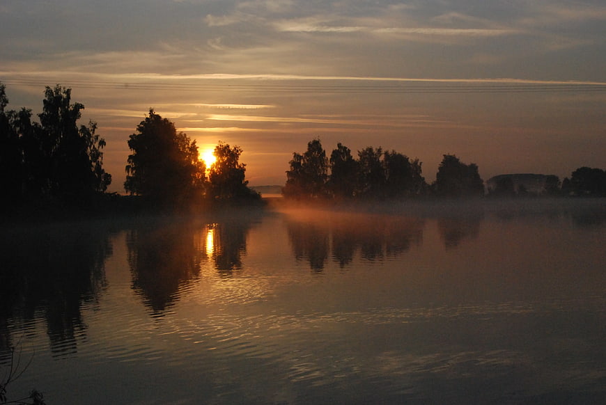 Misty River Sunrise with Silhouetted Trees and Reflections