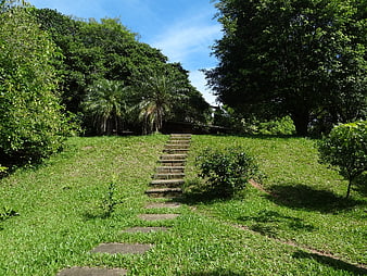 Stone steps leading up a grassy hill to a house