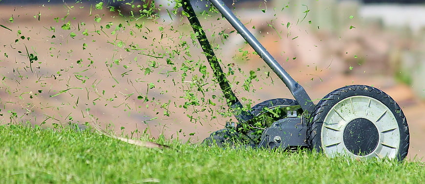 Manual Lawn Mower Cutting Grass with Flying Clippings