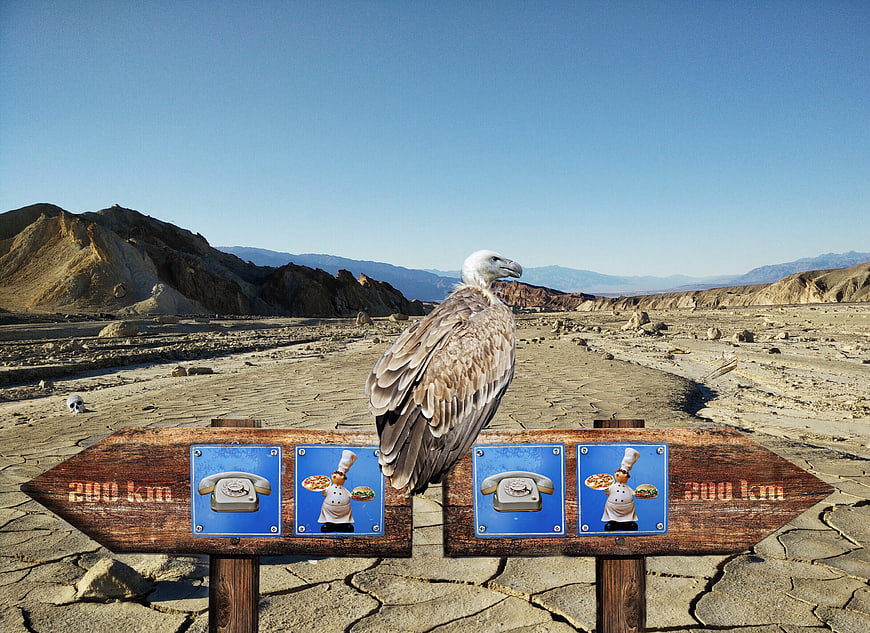 Vulture on desert signpost with phone and chef icons