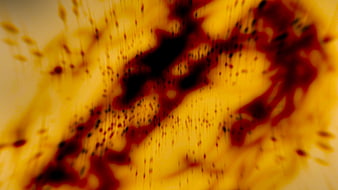 Abstract yellow and red blurred motion background