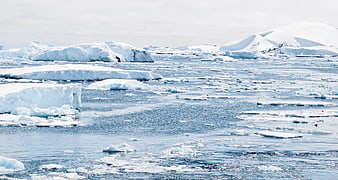 Antarctic Icebergs and Snowy Mountains in Frozen Ocean