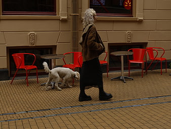 Woman walking white dog past red cafe chairs