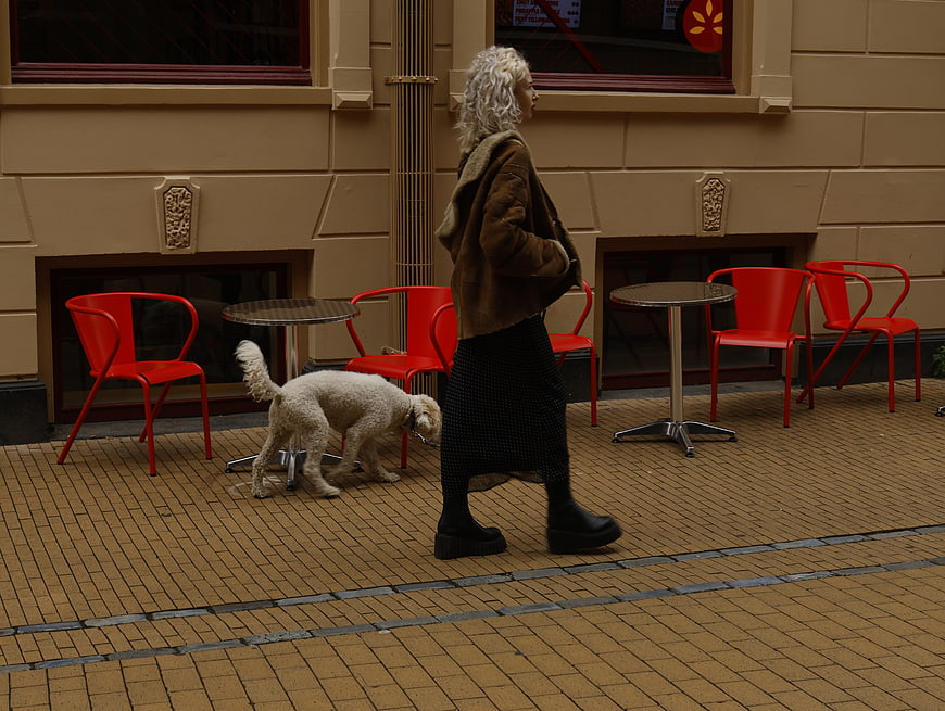 Woman walking white dog past red cafe chairs