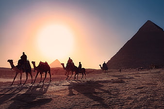 Camel Caravan Silhouette Against Giza Pyramids at Sunset