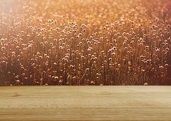 Rustic wooden table foreground with blurred golden flower meadow background