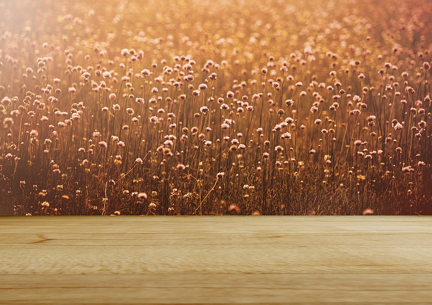 Rustic wooden table foreground with blurred golden flower meadow background
