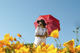 Woman with Red Umbrella in Yellow Poppy Field