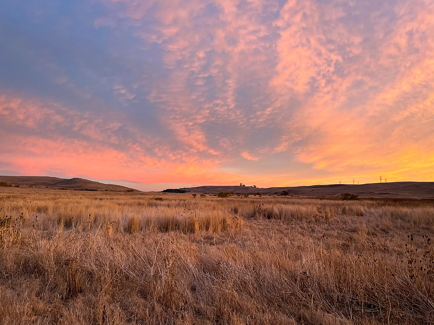 Golden Sunset Over Dry Grassland with Pink Clouds