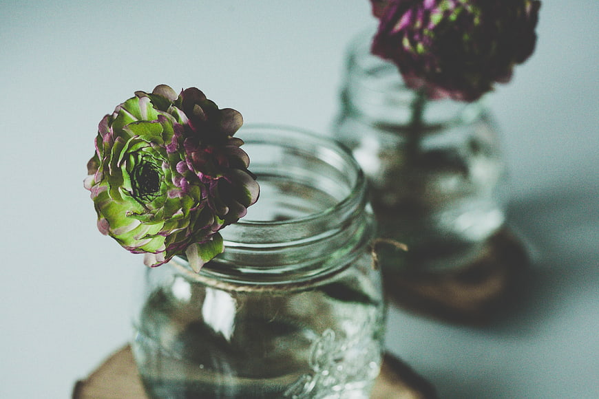 Green and purple ranunculus flower in mason jar vase