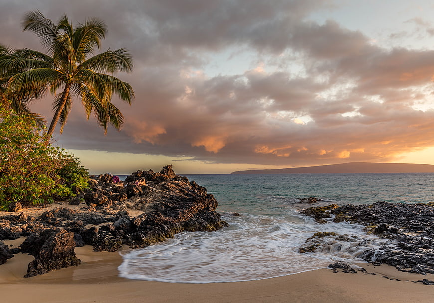 Tropical Sunset Beach with Palm Tree and Rocky Shoreline