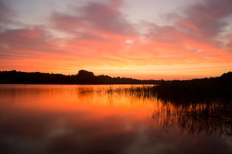 Vibrant orange sunset reflection on calm lake with reeds