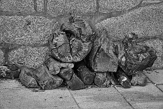 Black and white photo of stacked firewood against stone wall