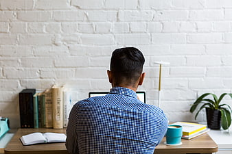 Back view of man working at desk in modern office
