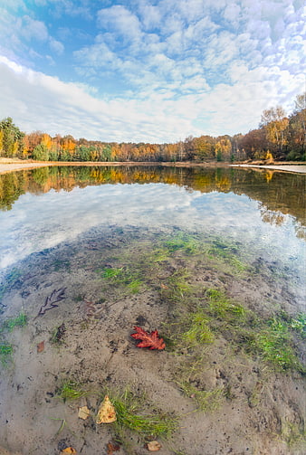 Autumn Lake Reflection with Underwater Leaves and Forest
