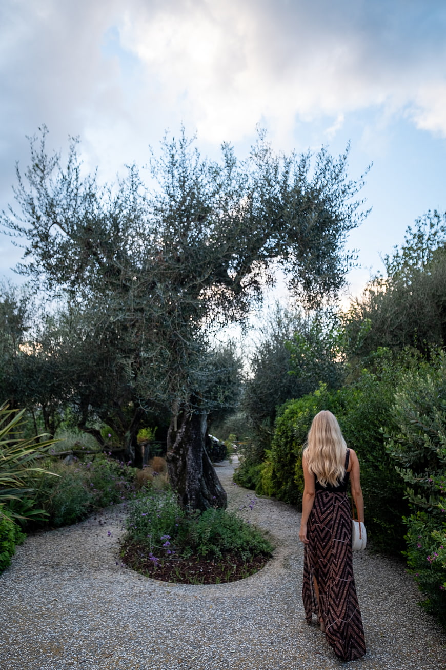 Woman walking away on gravel path in olive grove garden