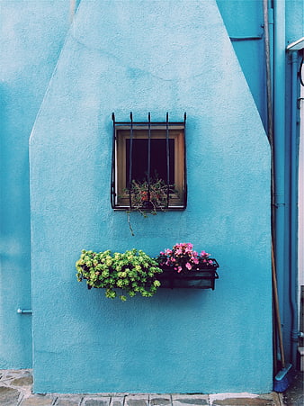 Blue Wall with Window and Flower Boxes