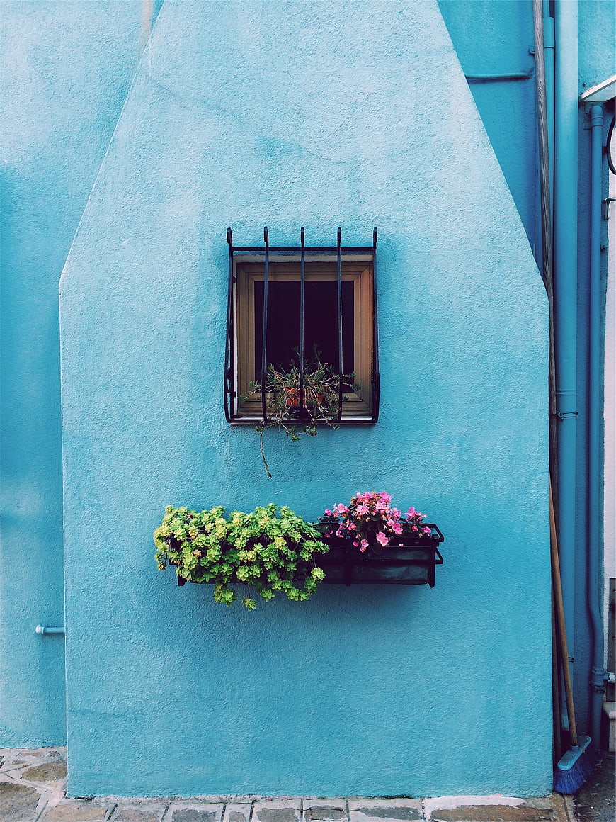 Blue Wall with Window and Flower Boxes