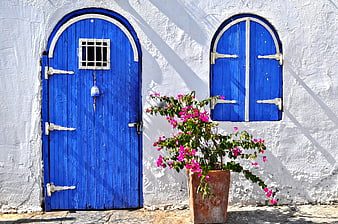 Blue Door and Window on White Wall with Bougainvillea