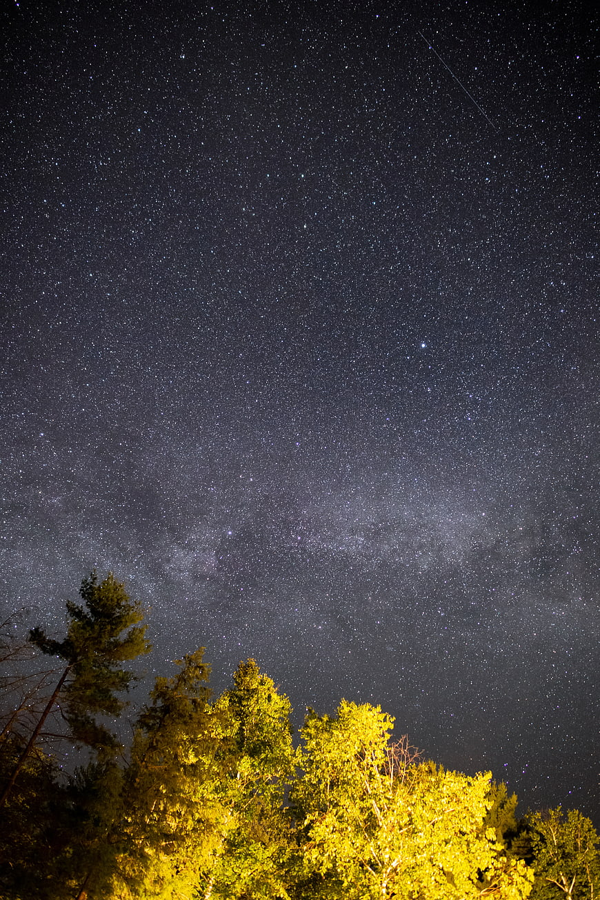 Starry Night Sky Over Illuminated Forest Trees