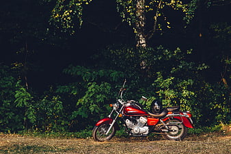 Red Motorcycle Parked in Forest Clearing
