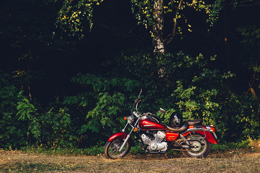 Red Motorcycle Parked in Forest Clearing