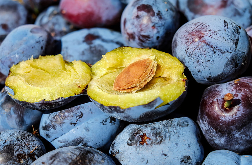 Fresh Purple Plums with Cut Half Showing Pit