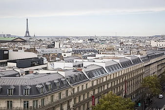 Panoramic View of Paris Rooftops and Eiffel Tower
